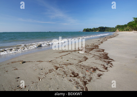 Verlassenen Strand, Pulau Labuan, Sabah, Malaysia Borneo Stockfoto