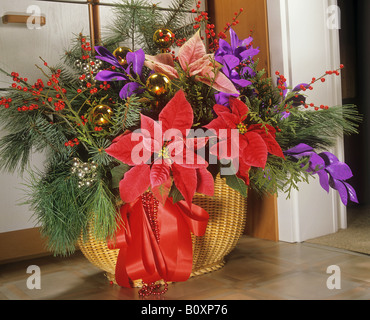 Weihnachtsarrangement in Korb Stockfoto