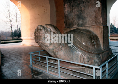 steinerne Schildkröte, Shisanling, Ming-Gräber, China Stockfoto