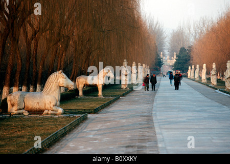 Ming-Gräber, Shisanling, Tempel wachen Geist Weg, China Stockfoto