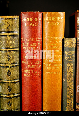 Alte Bücher Stockfoto