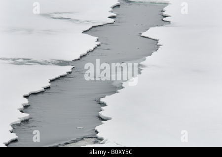 Riss in einer Eisscholle, Antarktis, Suedpolarmeer, Weddell-Meer Stockfoto