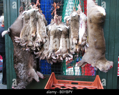 Tote Kaninchen, Hasen und andere Tiere sind Fernsehen mit ihren Mantel auf den Borough Market, Vereinigtes Königreich, London verkauft werden Stockfoto