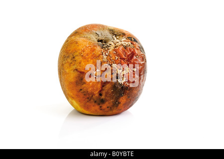 Verschimmelten Apfel, close-up Stockfoto