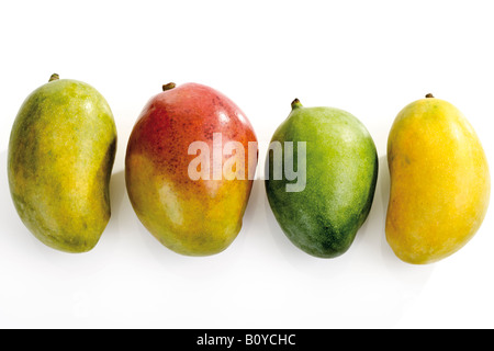 Mangos Stockfoto