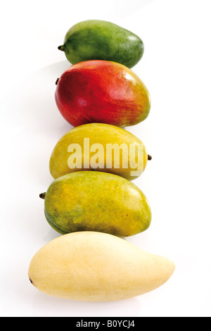 Mangos Stockfoto