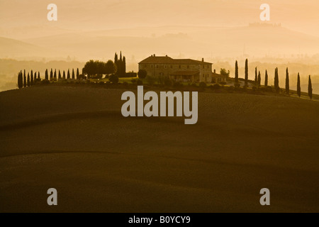 Italien, Toskana, Val D'Orcia, Bauernhaus in ländlichen Landschaft bei Sonnenuntergang Stockfoto