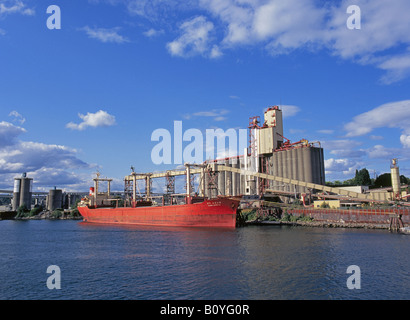 Ein großes Meer gehen Korn tragen Frachter nimmt eine Last von Weizen in einer Hafenanlage Silo im Hafen von Portland Stockfoto