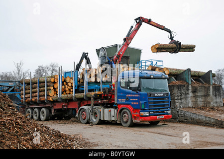 Schottische Baumfäller- Und Holzindustrie. Burnroot Sawmill, Dinnet, Aboyne, Aberdeenshire, Großbritannien Stockfoto