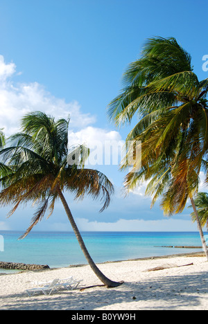 Der Strand von Maria La Gorda Stockfoto