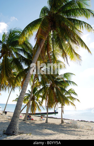 Der Strand von Maria La Gorda Stockfoto