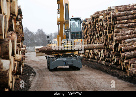 Cut Pine Tree Logs, gehobeltes Weichholz Bauholz in Burnroot Sawmill, Dinnett, Aboyne, Aberdeenshire, Cairngorms National Park, VEREINIGTES KÖNIGREICH Stockfoto