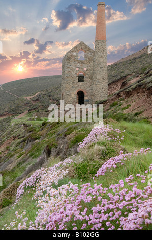 Towanroath Maschinenhaus in der Nähe von "St. Agnes" in "Great Britain" Stockfoto