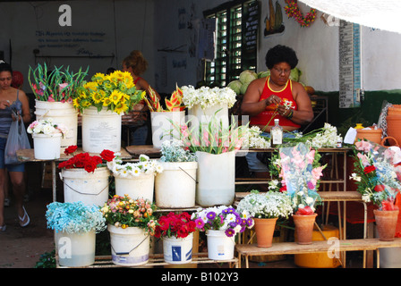 Blume-Stall in Havanna Centro Stockfoto