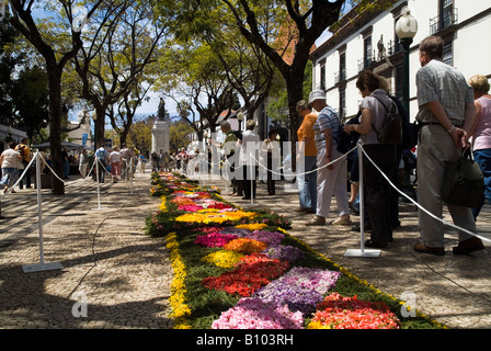 Dh Flower Festival Funchal Madeira Tapisserie der Blume Verzierung Avenida Arriaga Innenstadt Blumen im Straße Stockfoto