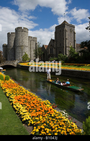 Männer Stechkahn fahren Touristen entlang der Westgate Gärten am Fluss Stour Canterbury Kent, UK Stockfoto