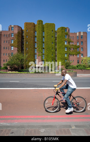 Ziegel-Wohnungen bedeckt mit Efeu Nine Elms Vauxhall Süd-London UK Stockfoto