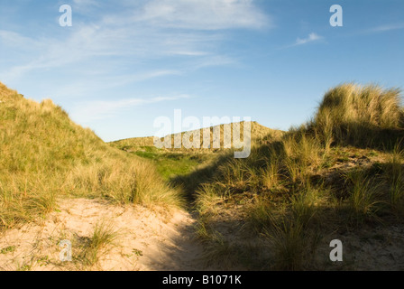 St Aidan's Dunes, bedeckt mit Marramgras, Seahouses, Northumberland, Großbritannien, Mai Stockfoto
