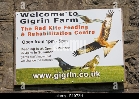 Willkommen Sie bei Red Kite Feeding Center Gigrin Farm Rhayader Wales UK Stockfoto