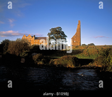 The Yellow Steeple, Trim, Co Meath, Irland Stockfoto