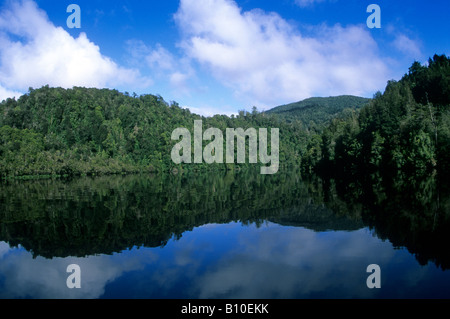 Reflexionen der uralte Regenwälder entlang dem Gordon River, Strahan, Tasmanien. Stockfoto