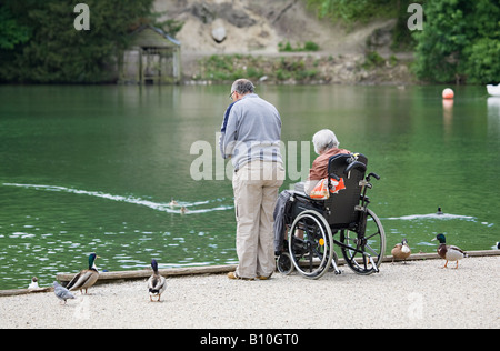 Ein älterer Mann mit Frau im Rollstuhl, der Enten am Swanbourne Lake, Arundel, West Sussex, England, Großbritannien füttert Stockfoto