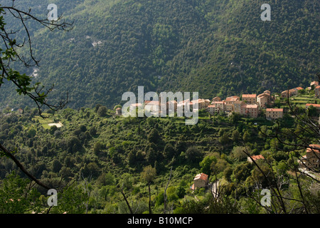 Das Bergdorf Soccia auf Korsika Frankreich Stockfoto