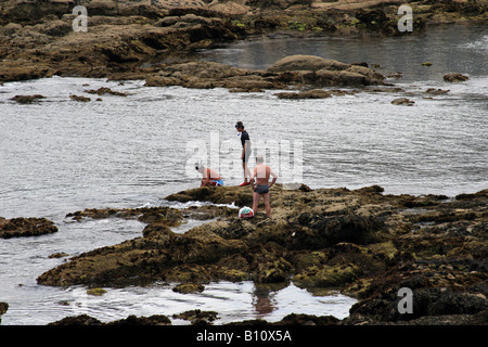 Gruppe von Menschen tauchen und Fischen, Schalentieren in Riazor Strand in La Coruña, Spanien. Stockfoto