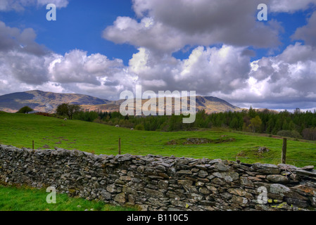 Der Blick in den Lake District in der Nähe von Beatrix Potters Haus nahe Sawrey Hawkshead Ambleside Cumbria England Stockfoto