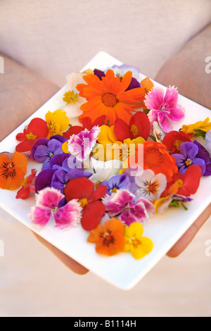 Essbare Blumen Stockfoto