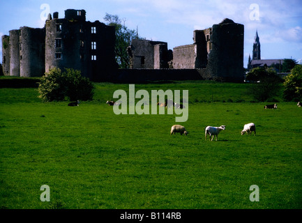 Co Roscommon, Roscommon Castle, Irland Stockfoto