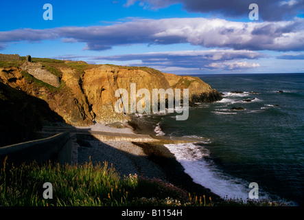 Kupfer-Küste in der Nähe von Bunmahon, Grafschaft Waterford, Irland Stockfoto