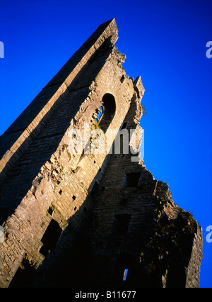 The Yellow Steeple, Trim, Co Meath, Irland Stockfoto