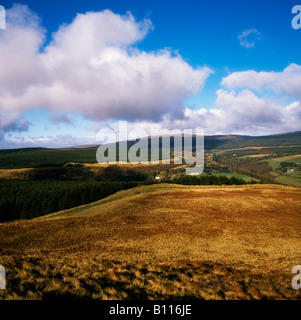 Co Antrim, Glenariff, Irland Stockfoto