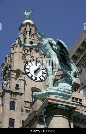 Stadt von Liverpool, England. Die Cunard-Kriegerdenkmal mit der Royal Liver Building Clock Tower und Leber Vogel im Hintergrund. Stockfoto
