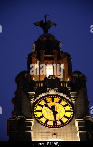 Stadt von Liverpool, England. Close-up Nachtansicht der Liver Building Clock Tower und Carl Bernard Bartels Liver Birds. Stockfoto