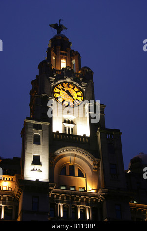 Stadt von Liverpool, England. Close-up Nachtansicht der Liver Building Clock Tower und Carl Bernard Bartels Liver Birds. Stockfoto