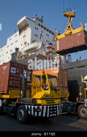 Container-Truck in den Container Stapeln laden Container auf Flachbett Port Khalid Vereinigte Arabische Emirate Naher Osten Stockfoto