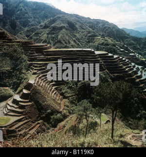 ThePhilippines.BanaueRiceTerraces are2000 Jahre alte Terrassen in den Bergen von Ifugao.They geschnitzt sind the8th Wunder der Welt Stockfoto