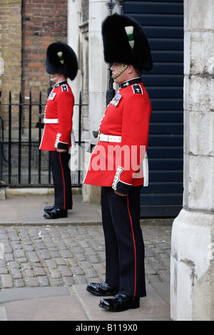 Walisische Gardist im Dienst an Str. Jamess Palast, London England Stockfoto