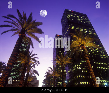 PALM BÄUME WOLKENKRATZER FIGUEROA STREET DOWNTOWN LOS ANGELES KALIFORNIEN USA Stockfoto