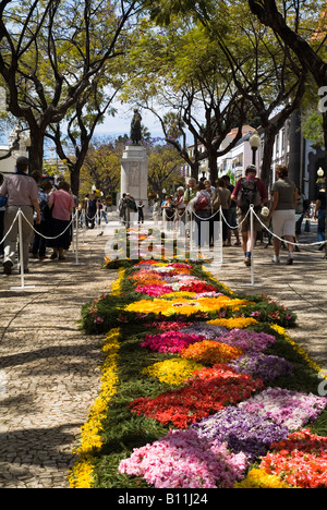 dh Blumenfest FUNCHAL MADEIRA Wandteppich Blume Dekoration Avenida Arriaga Stadtzentrum Straße Stockfoto