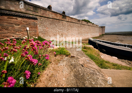 Berwick nach Tweed Stadtmauer Stockfoto