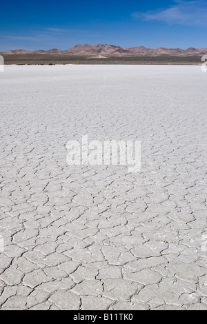 El Mirage Dry Seegrund mit Bergen in der Ferne und einem klaren blauen Himmel. Stockfoto