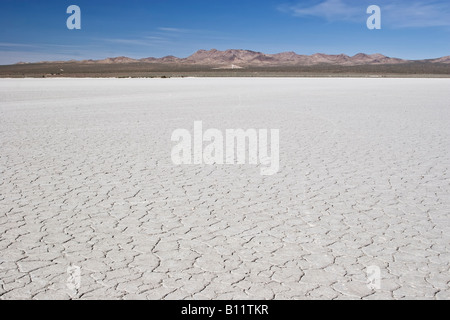 El Mirage Dry Seegrund mit Bergen in der Ferne und einem klaren blauen Himmel. Stockfoto