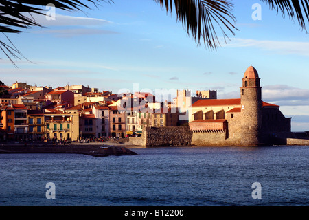 Collioure Südfrankreich Hafen, am frühen Abend im Sommer Stockfoto