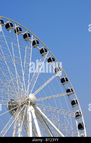 Riesenrad im Vergnügungspark Stockfoto