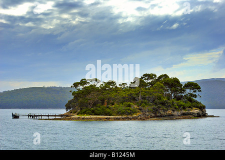 Insel der Toten, Port Arthur, Tasmanien Stockfoto