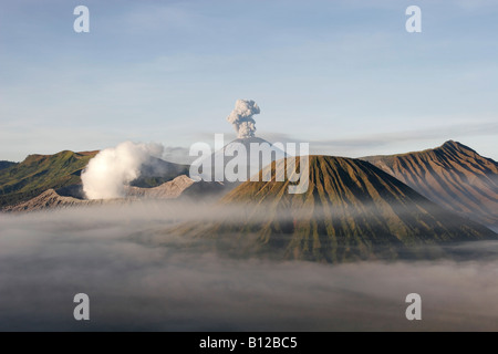Gunung Bromo und Gunung Semeru (Bromo-Tengger-Semeru National Park), Ost-Java, Indonesien Stockfoto