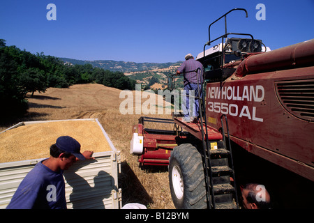 Italien, Basilicata, Roccanova, Weizenerntebauern Stockfoto